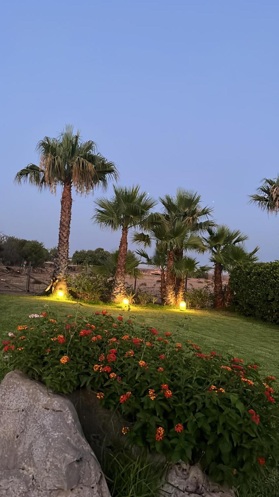 Masseria Boscorotondo 希克利 外观 照片