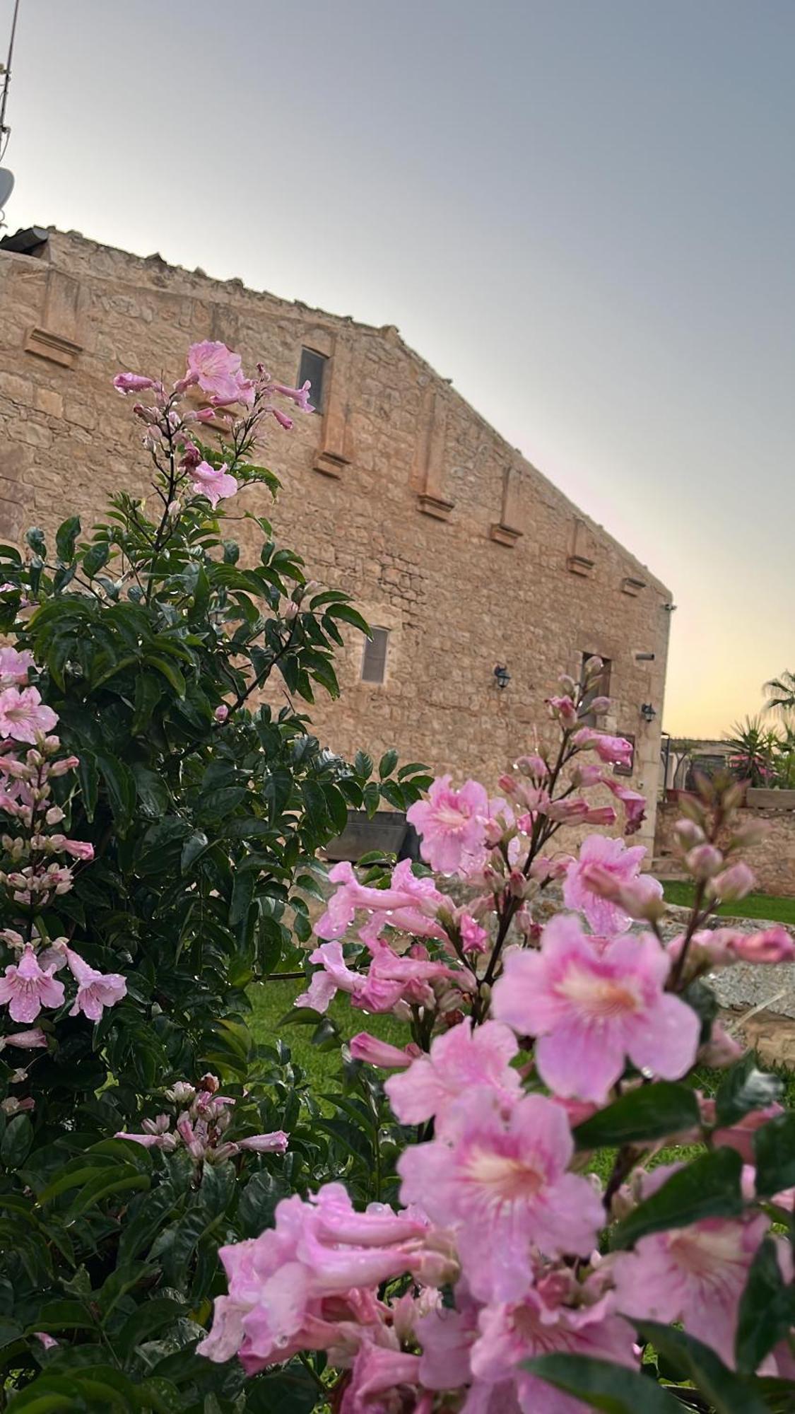 Masseria Boscorotondo 希克利 外观 照片
